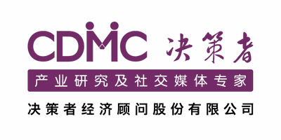 上海决策者经济顾问股份有限公司 logo
