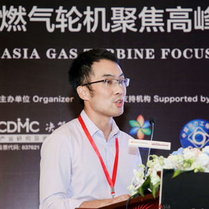 Chen LI (Senior Project Manager at Mitsubishi Heavy Industries Dongfang Gas Turbine(Guangzhou) Co.,Ltd)