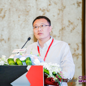 Fei TENG (General Manager of Product Management and Application Department of Gas power Generation Division at GE)