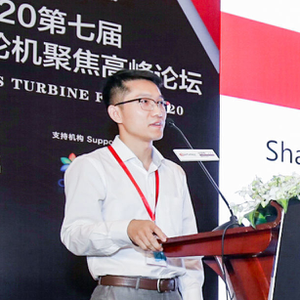 Shibing LIN (Chief Engineer at Shanghai Shenergy linGang Gas Turbine Limted Co.,Ltd)