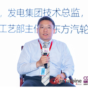 Fuhua Yan (Technical director of power generation group at General Electric (China) Co., Ltd)